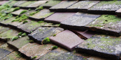 Nant roof repair costs